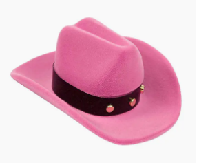 Horseshoe Earrings W/Colorful Cowboy Hat Gift Box