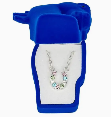 Aqua Rhinestone Horseshoe Necklace W/Horse Head Gift Box - Multi