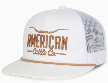 Longhorn Hat - White/Gold
