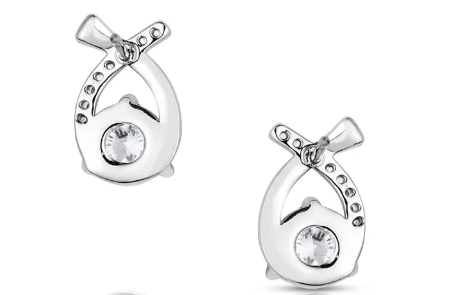 Montana Silversmiths - Faithful Stream Earrings