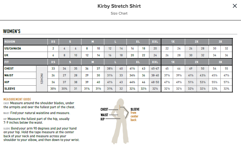 Ariat Ladies Wrinkle Resistant Kirby L/S Shirt - 10065844