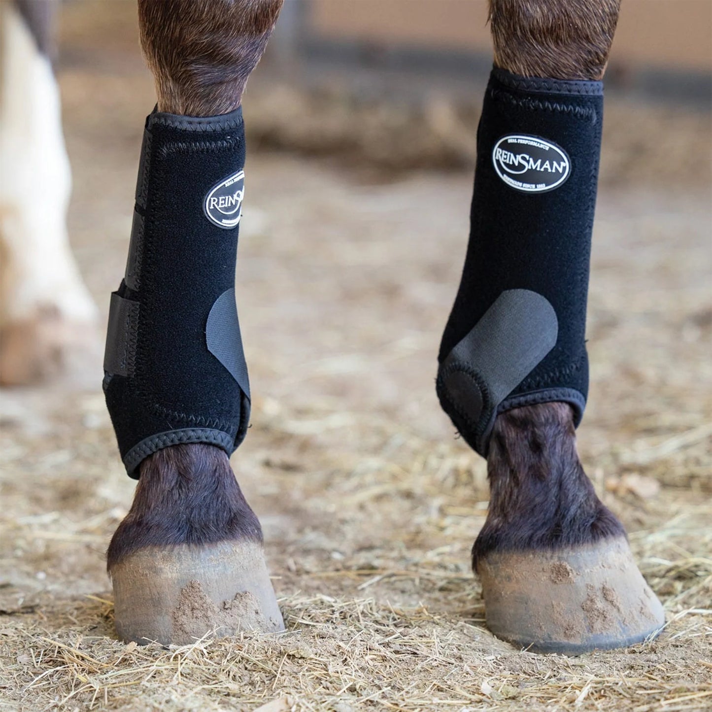 Reinsman Apex Sports Boots 4 Pack - Black - Medium - CYRE9127BK