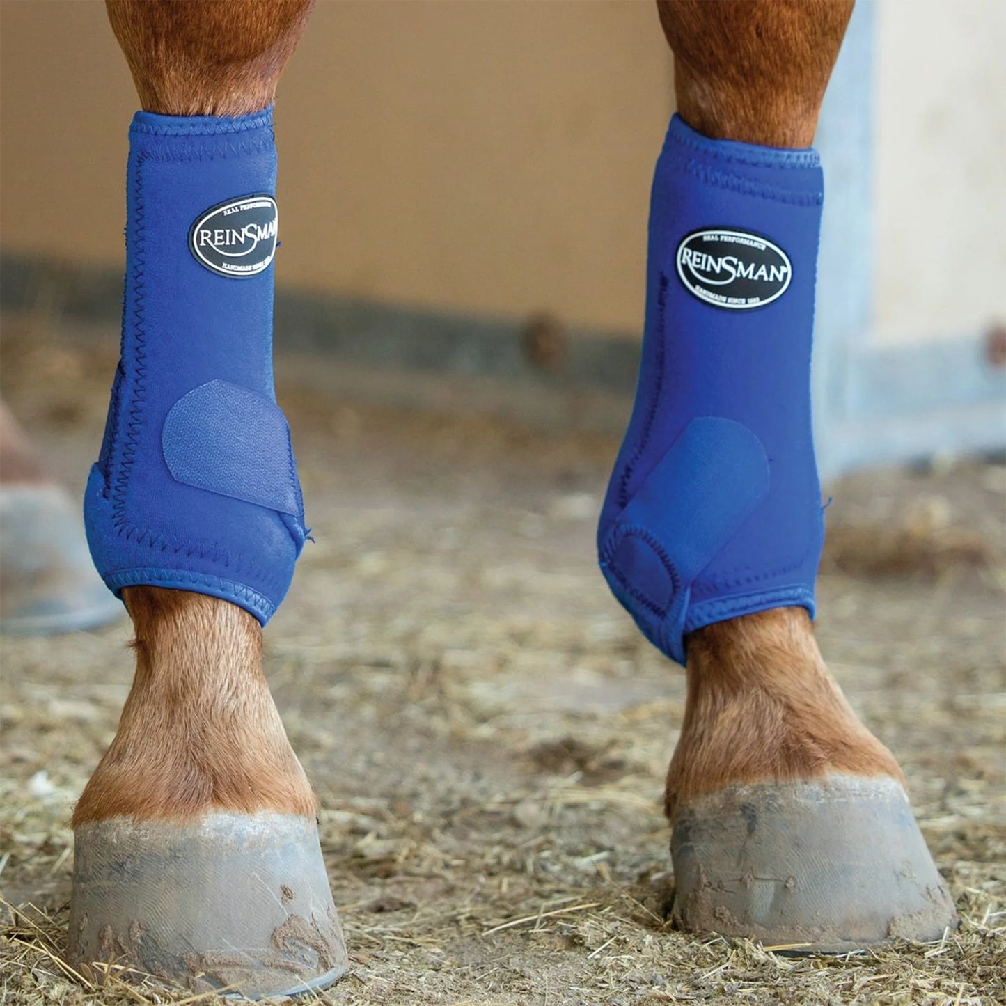 Reinsman Apex Sports Boots 4 Pack - Royal Blue - Large - CYRE9127RB