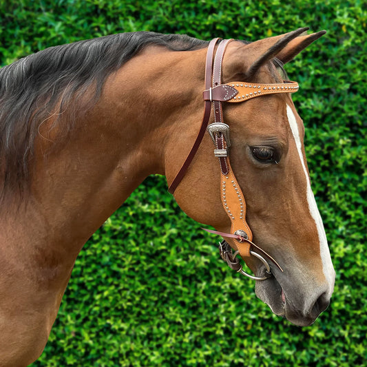 Ezy Ride Bridle Brow with Dots and Silver Buckle - 2 Tone - NE-L-203
