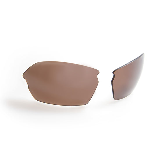 Gidgee Eyes Liberty Sunglasses - Tortoise