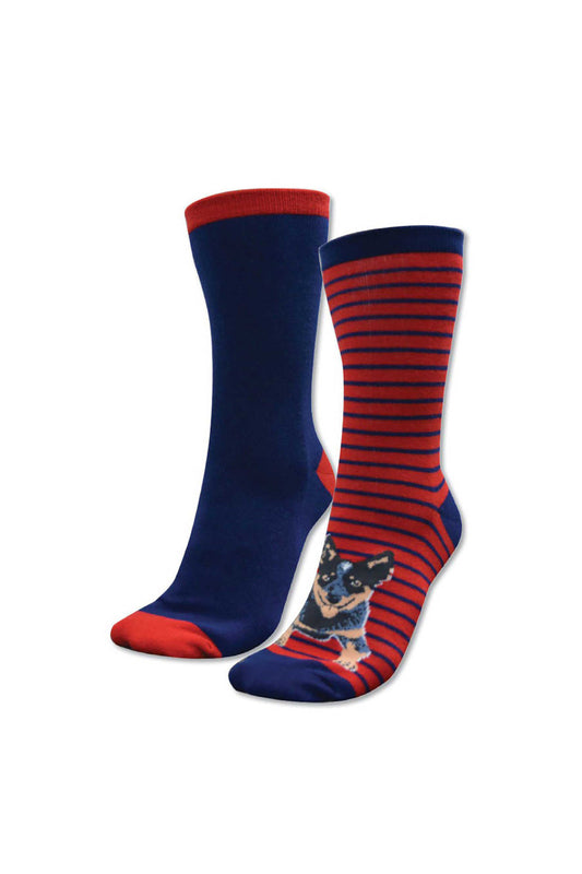 Thomas Cook Kids Homestead Socks - Navy/Red (220) - Blue Heeler - TCP7915SOC
