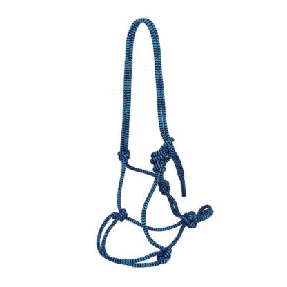 Halters and Leads