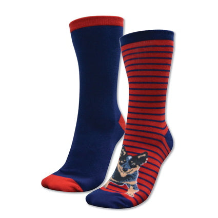 Thomas Cook Homestead Socks- TCP2920SOC -Navy/Red