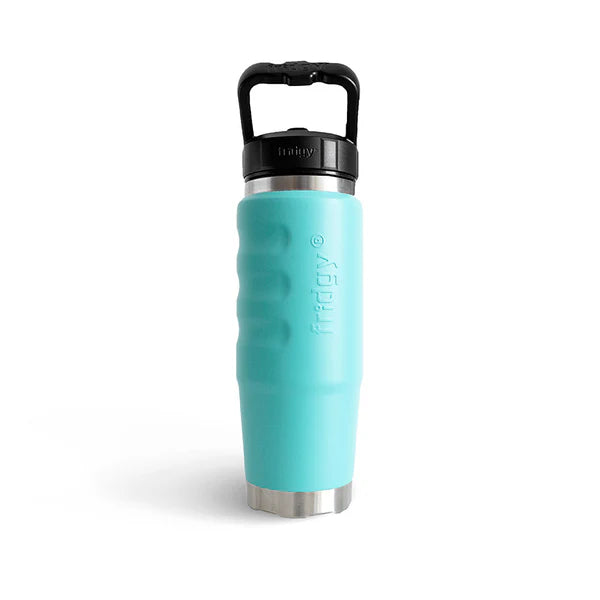 Fridgy Cruise 750ml Stainless Steel Bottle