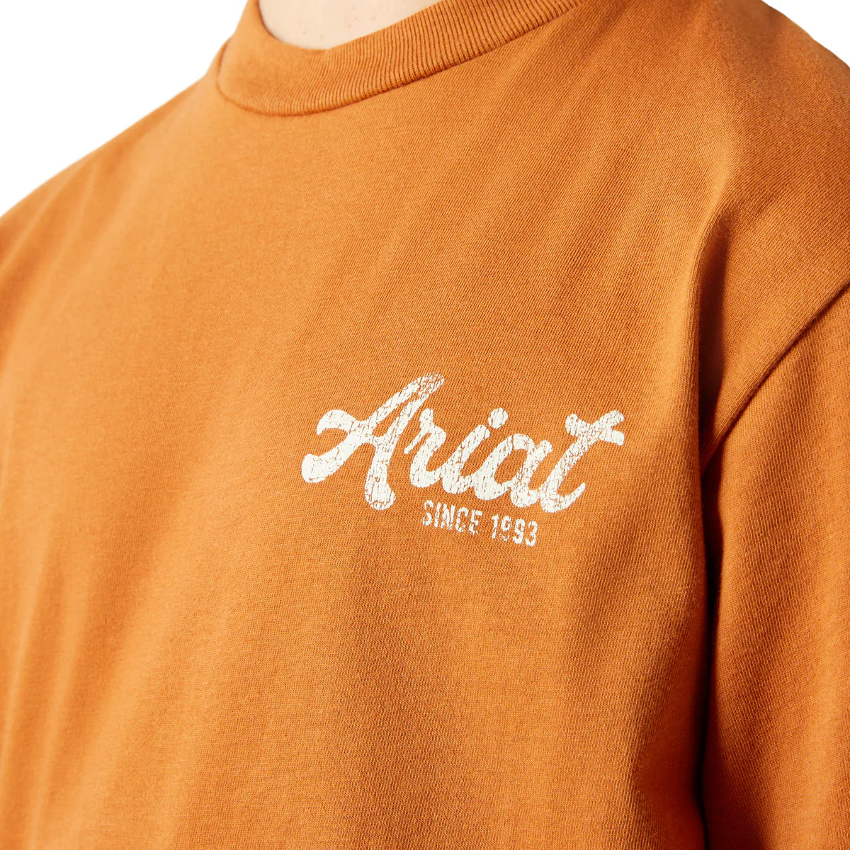 Ariat Boys Coyote Country S/S Tee - 10065981