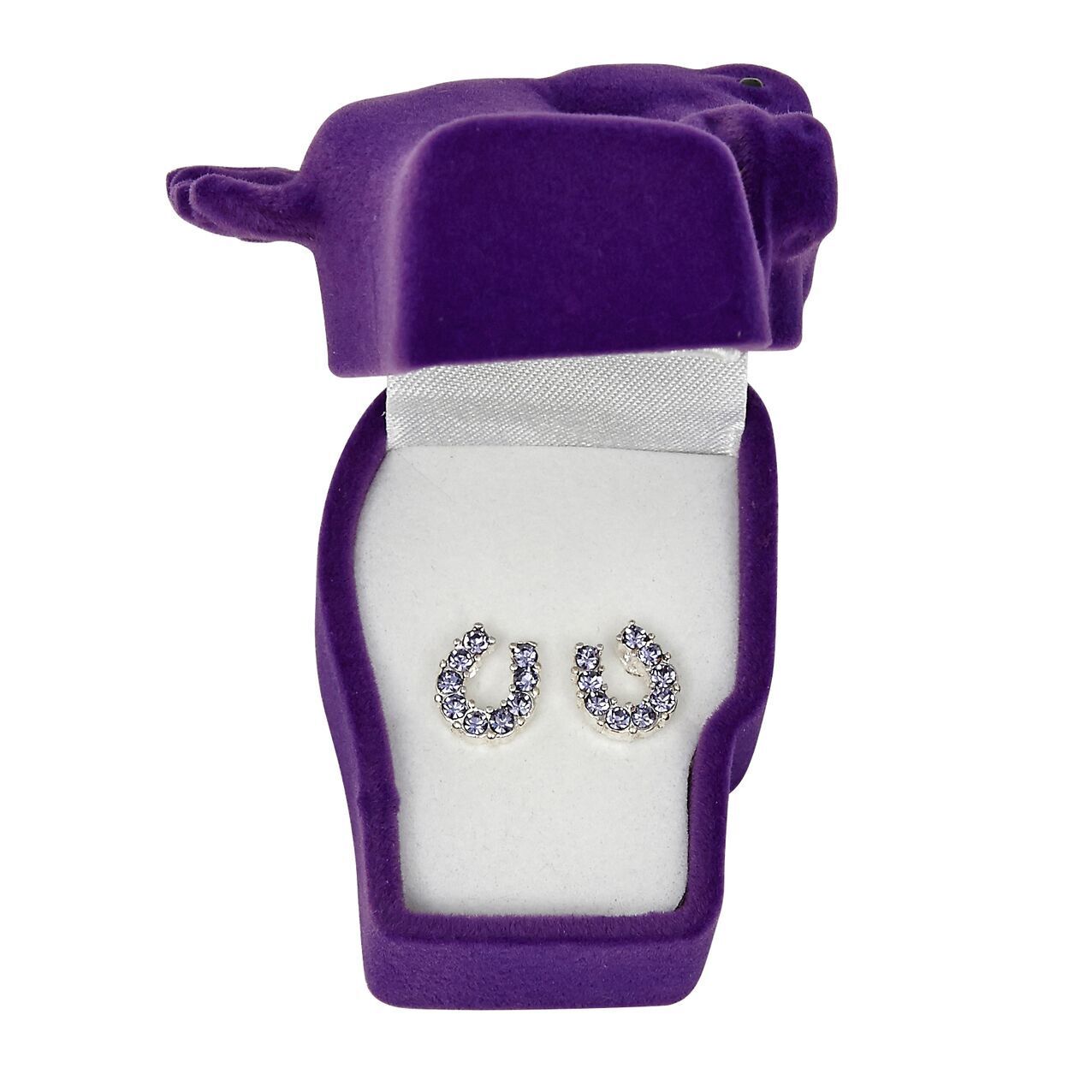 Brigalow Purple Rhinestone Horseshoe Earrings