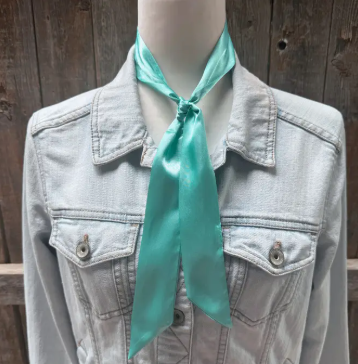 Turquoise Western Skinny Mini Wild Rag Scarf - TW301