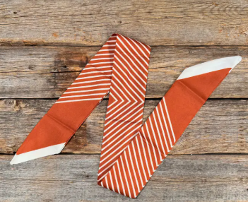 Burnt Orange and Cream Western Skinny Mini Wild Rag/Scarf Necktie - TW110