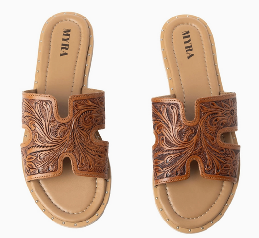 Carmina Anne Sandals in Dark Brown - S-11970