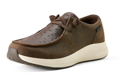 Ariat Mens Buckeye H20 Dark Chocolate -10063966