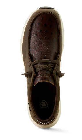 Ariat Mens Buckeye H20 Dark Chocolate -10063966