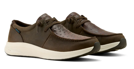 Ariat Mens Buckeye H20 Dark Chocolate -10063966