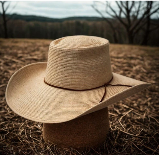 Sunbody Hat - Reata III Palm Leaf - Natural/Brown - HG45+R3