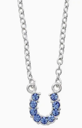 Aqua Rhinestone Horseshoe Necklace W/Horse Head Gift Box - Blue