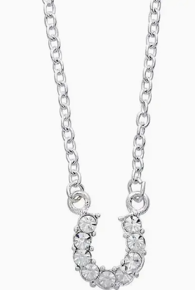 Clear Rhinestone Horseshoe Necklace W/Horse Head Gift Box