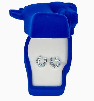 Rhinestone Horseshoe Earrings W/Horse Head Gift Box - Blue