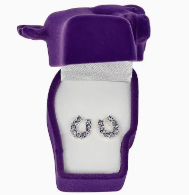 Rhinestone Horseshoe Earrings W/Horse Head Gift Box - Purple
