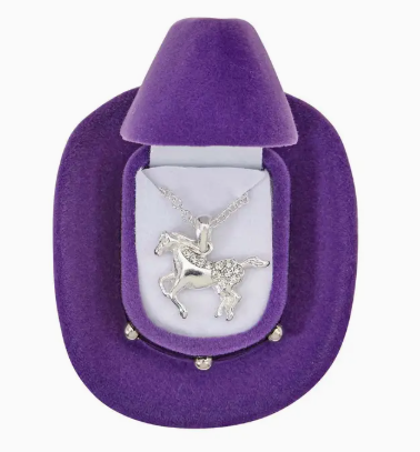 Horseshoes Necklace W/Colourful Cowboy Hat Box