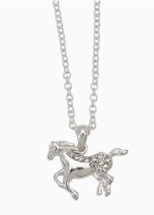 Horseshoes Necklace W/Colourful Cowboy Hat Box