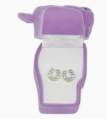 Rhinestone Horseshoe Earrings W/Horse Head Gift Box - Multi