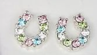 Rhinestone Horseshoe Earrings W/Horse Head Gift Box - Multi