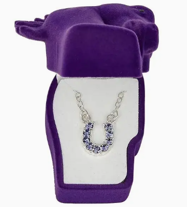 Aqua Rhinestone Horseshoe Necklace W/Horse Head Gift Box - Purple