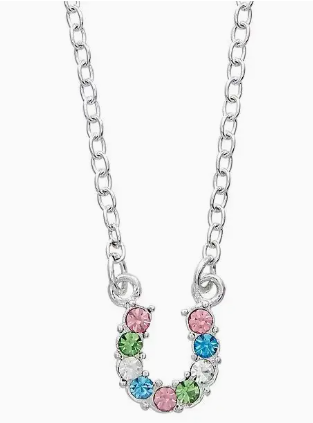 Aqua Rhinestone Horseshoe Necklace W/Horse Head Gift Box - Multi