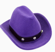Horse Head Earrings W/Purple Cowboy Hat Gift Box