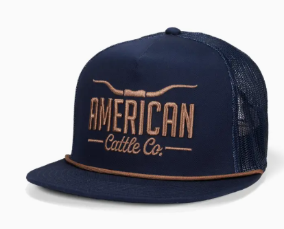 Longhorn Hat - Navy