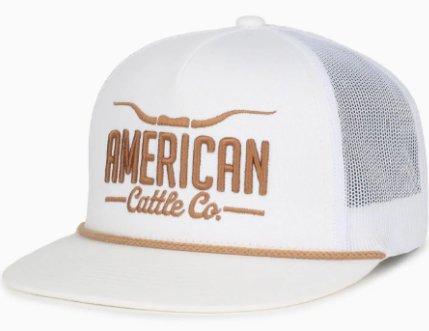 Longhorn Hat - White/Gold