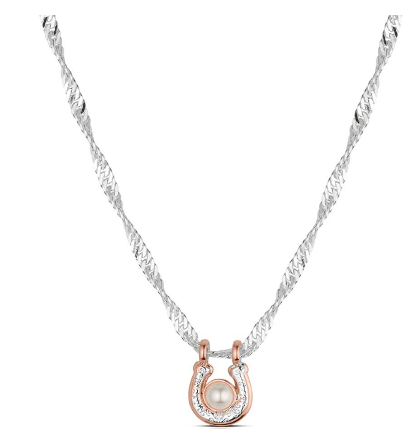 Montana Silversmiths - Rosewood Rodeo Necklace - NC6471