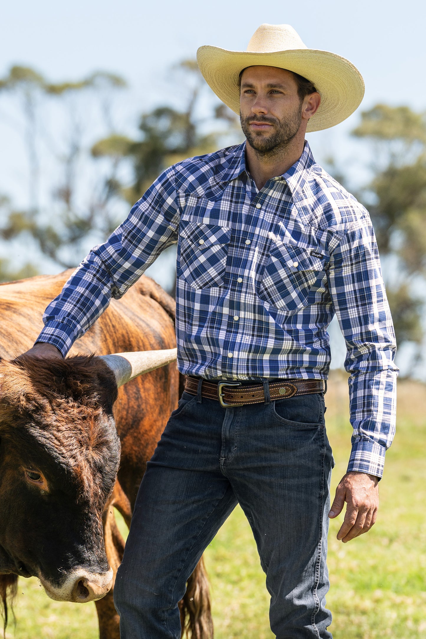 Wrangler Hogan Belt - Tan