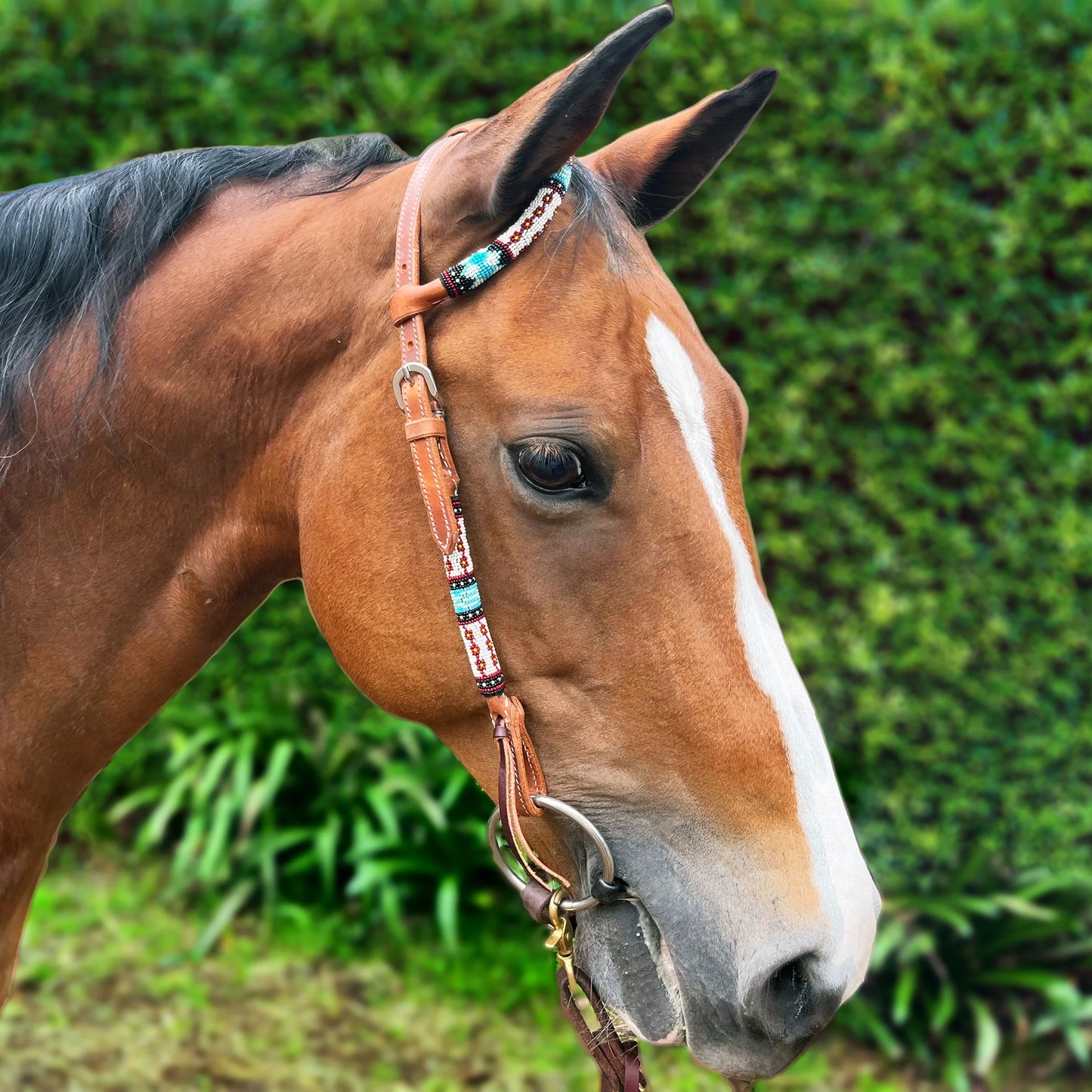 Ezy Ride Bridle One Ear with Blue Beaded Accent - NE-AC-141