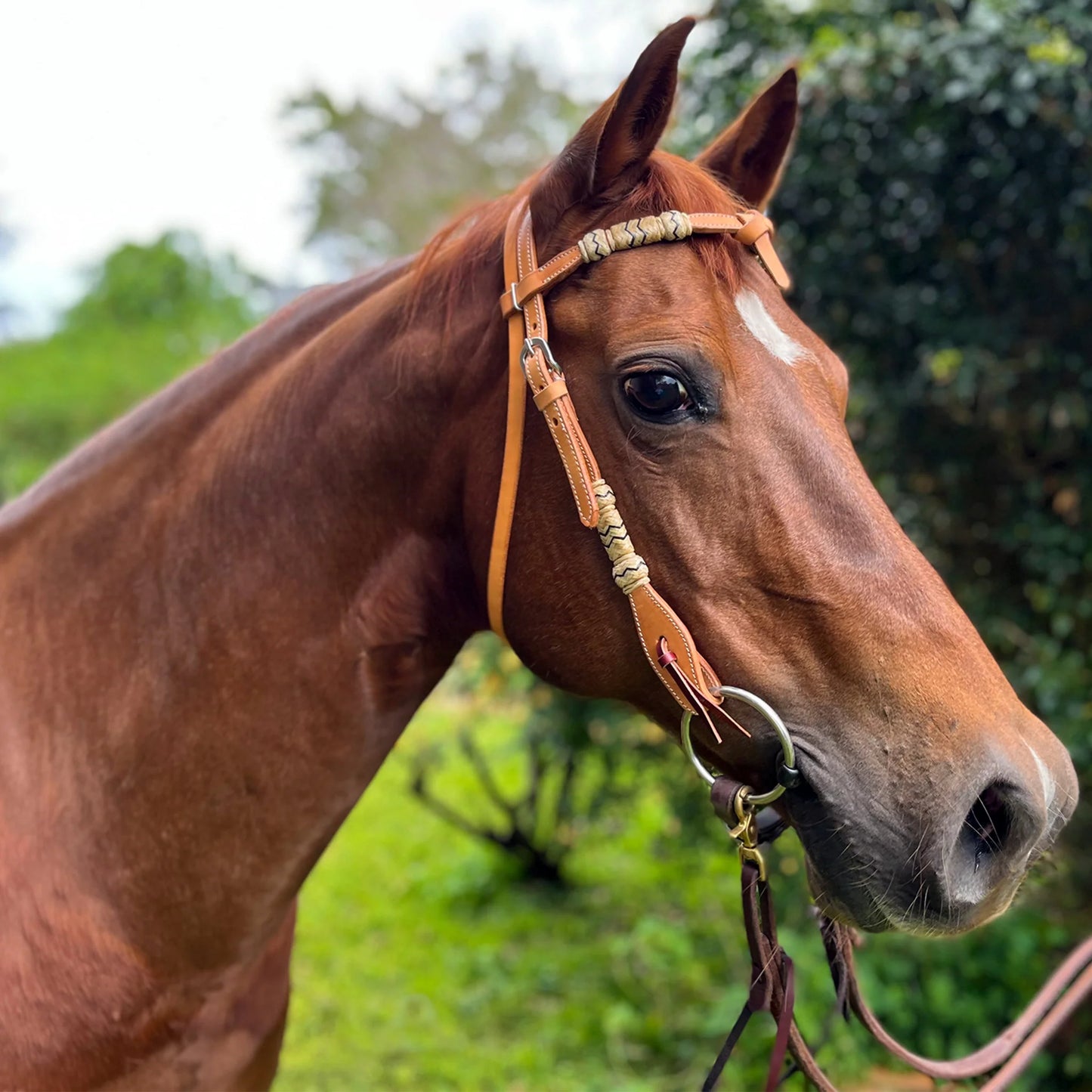 Ezy Ride Bridle with Futurity Knot and Rawhde Brow Natural - NE-AC-101