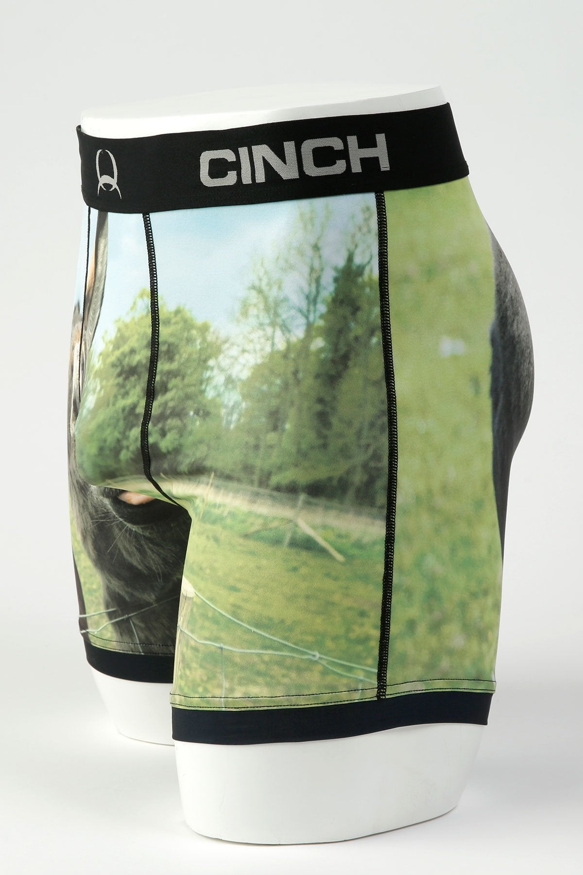 Cinch Mens 6" Donkey Boxer Briefs - MXY6009017