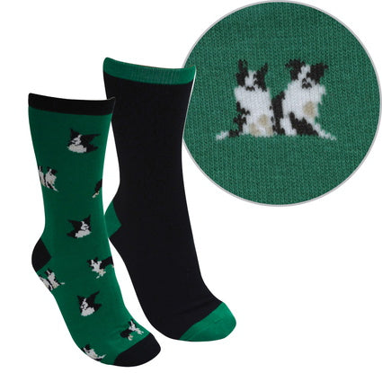 Thomas Cook Farmyard Socks- Twin Pack - Green/Black (473) - TCP2911SOC