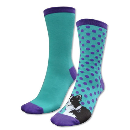 Thomas Cook Kids Homestead Socks - Purple/Turquoise (804) - Border Collie - TCP7915SOC