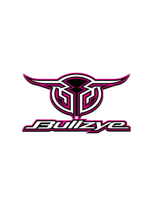 Bullzye Logo Sticker Size A - Multiple colours