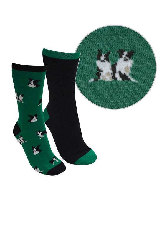 Thomas Cook Kids Farmyard Socks- Twin Pack -  Green/Black - Border Collie Dog - TCP7908SOC